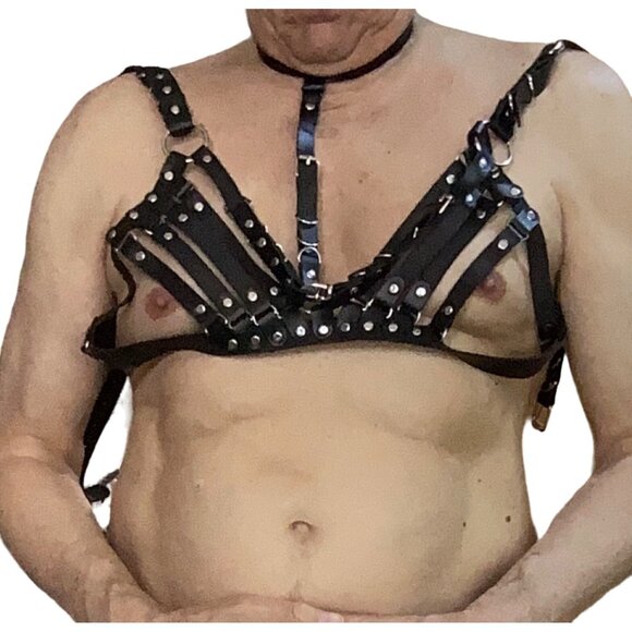 Goth Harness Bra*collar*Gay*Cosplay*Sub*Halloween*BDSM*NIP*Black*Faux Leather - Picture 1 of 4